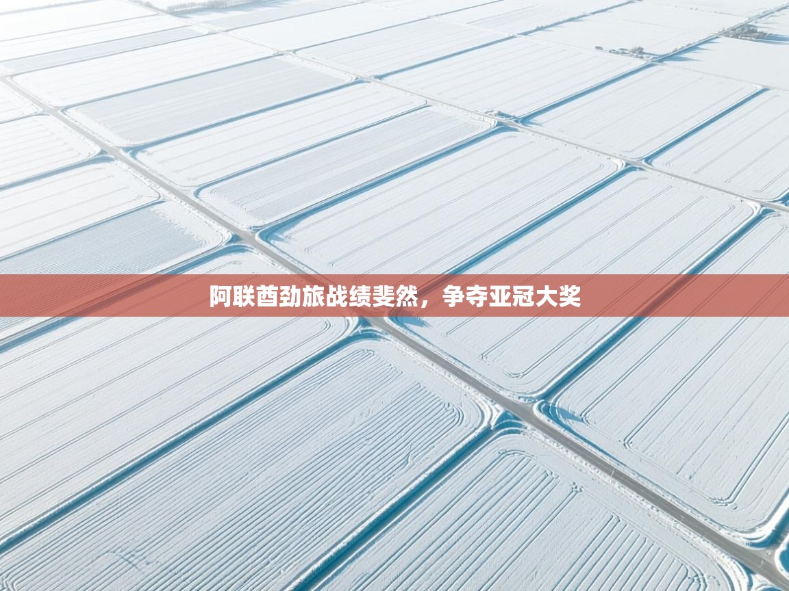 开云体育修改登录密码-阿联酋劲旅战绩斐然，争夺亚冠大奖  第2张