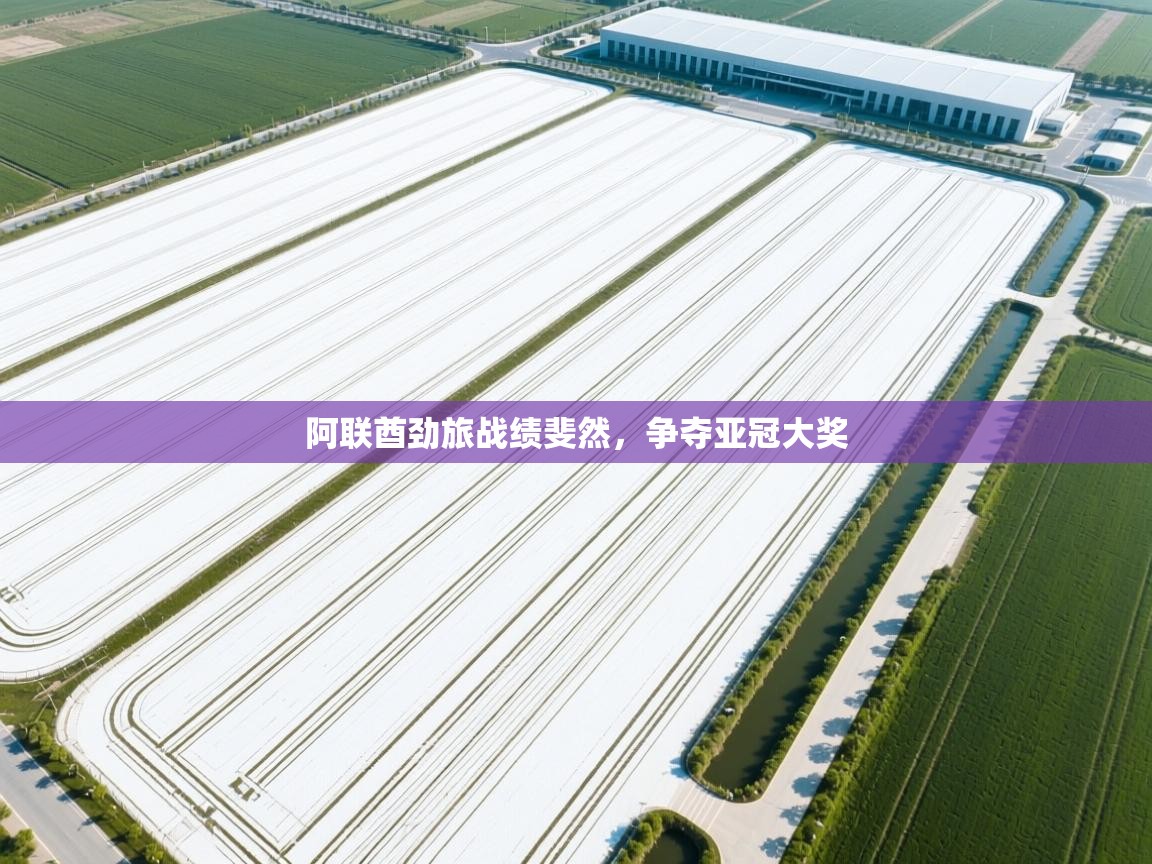 开云体育修改登录密码-阿联酋劲旅战绩斐然，争夺亚冠大奖  第3张