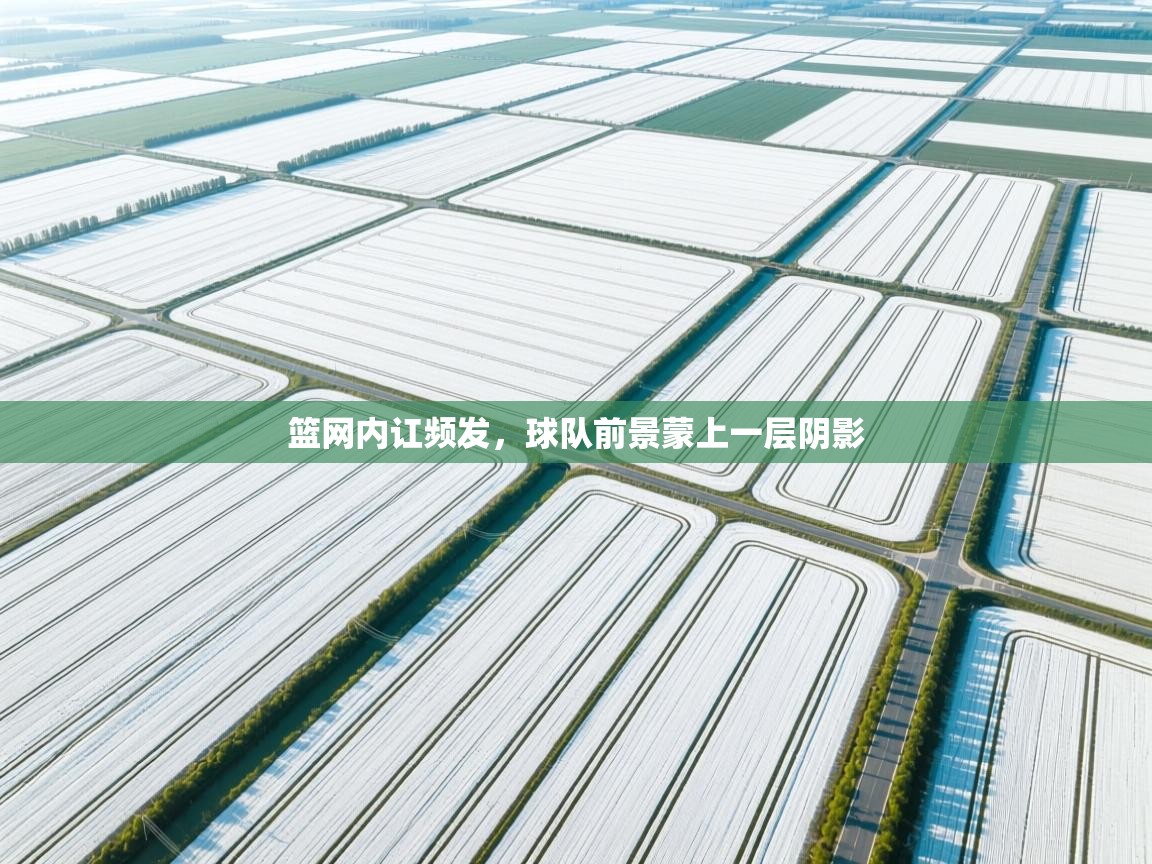 开云体育联赛专题页-篮网内讧频发，球队前景蒙上一层阴影