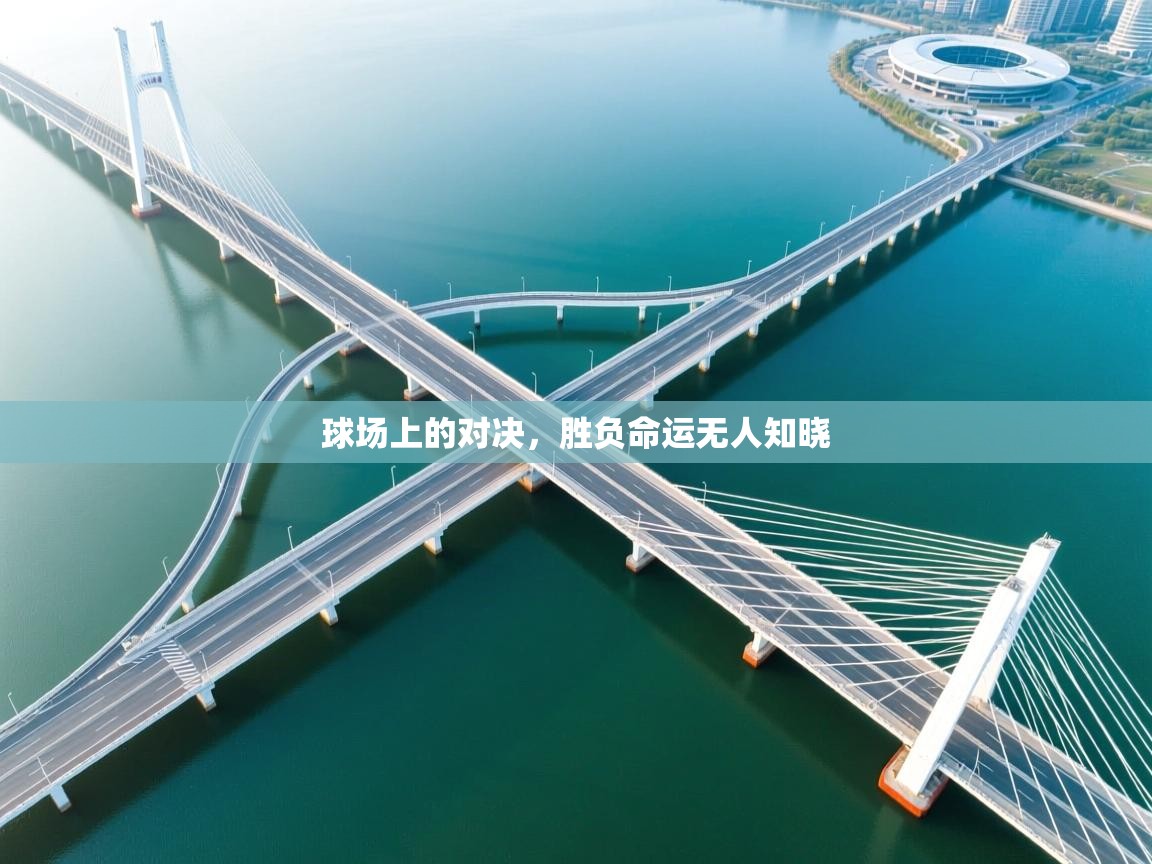 云开体育app官网入口-球场上的对决,胜负命运无人知晓 第1张