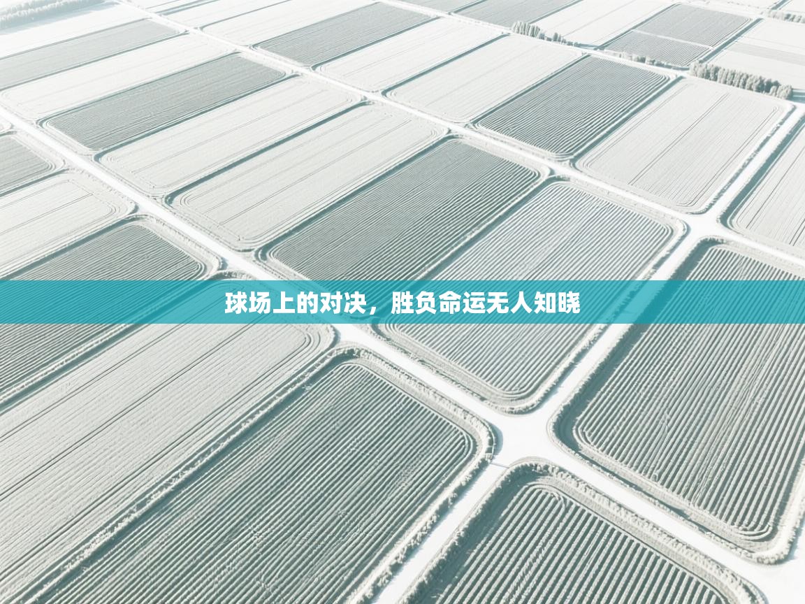 云开体育app官网入口-球场上的对决,胜负命运无人知晓 第3张