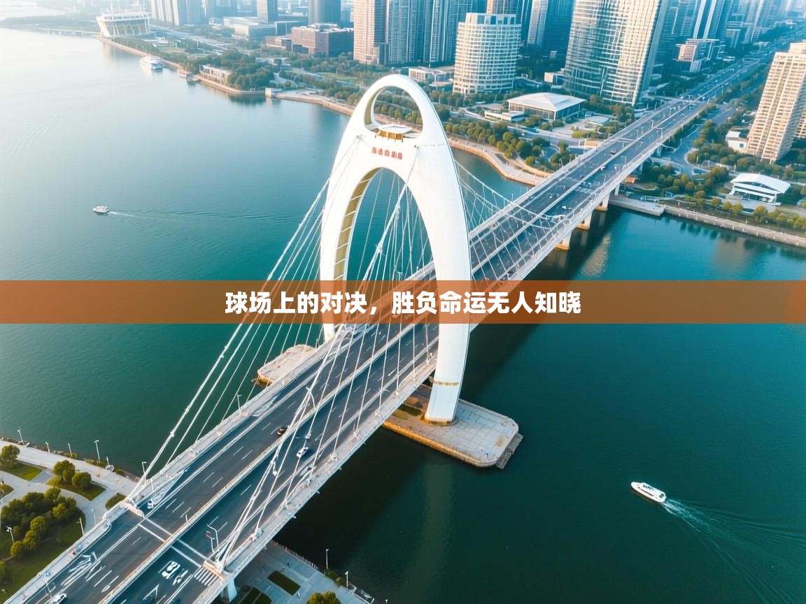 云开体育app官网入口-球场上的对决,胜负命运无人知晓 第4张