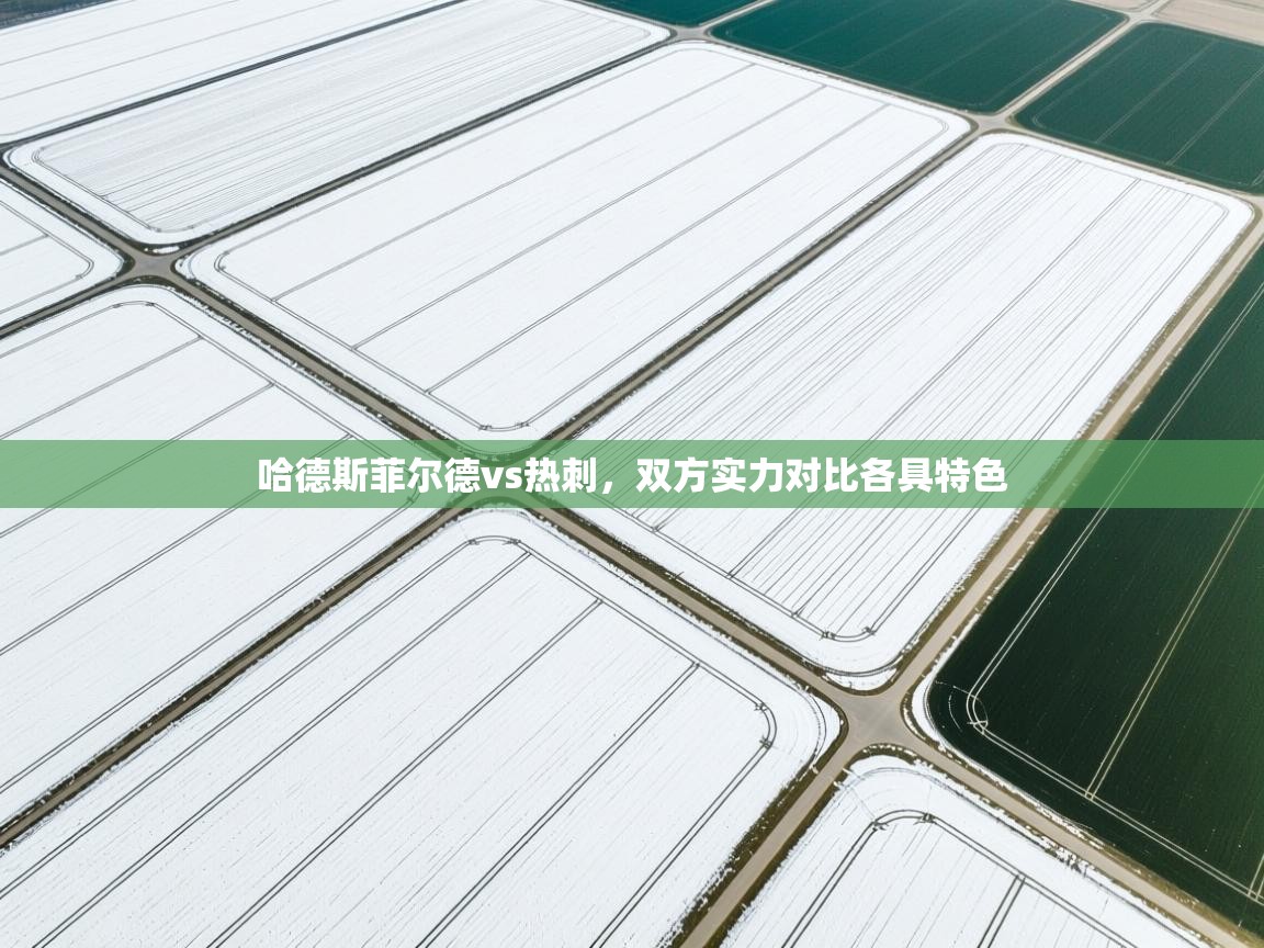 开云体育英文版入口-哈德斯菲尔德vs热刺,双方实力对比各具特色 第1张