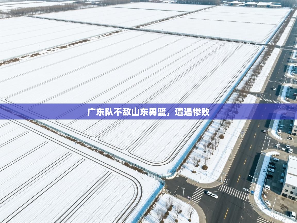 开云平台-广东队不敌山东男篮,遭遇惨败 第2张