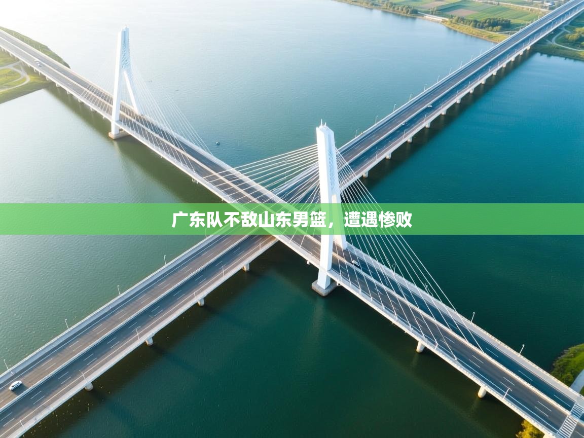 开云平台-广东队不敌山东男篮,遭遇惨败 第3张