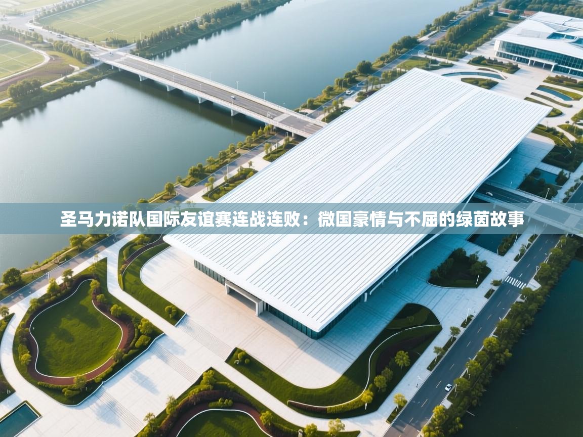 开云体育在线登入-圣马力诺队国际友谊赛连战连败：微国豪情与不屈的绿茵故事
