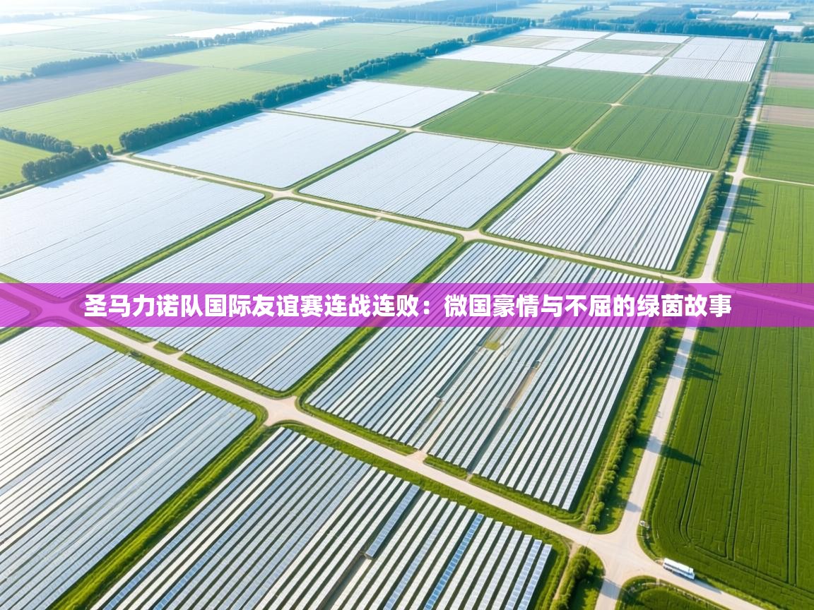 开云体育在线登入-圣马力诺队国际友谊赛连战连败：微国豪情与不屈的绿茵故事  第4张