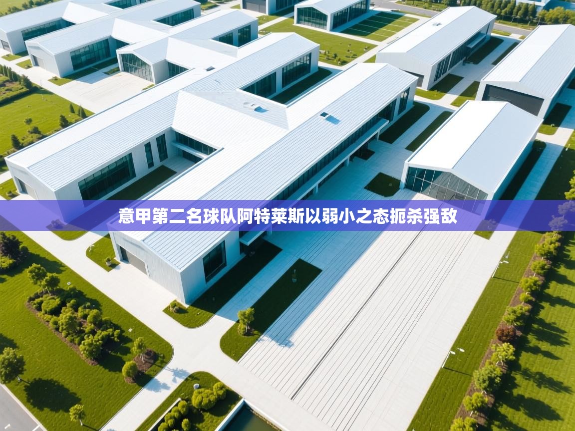 开云体育入口客服-意甲第二名球队阿特莱斯以弱小之态扼杀强敌  第2张