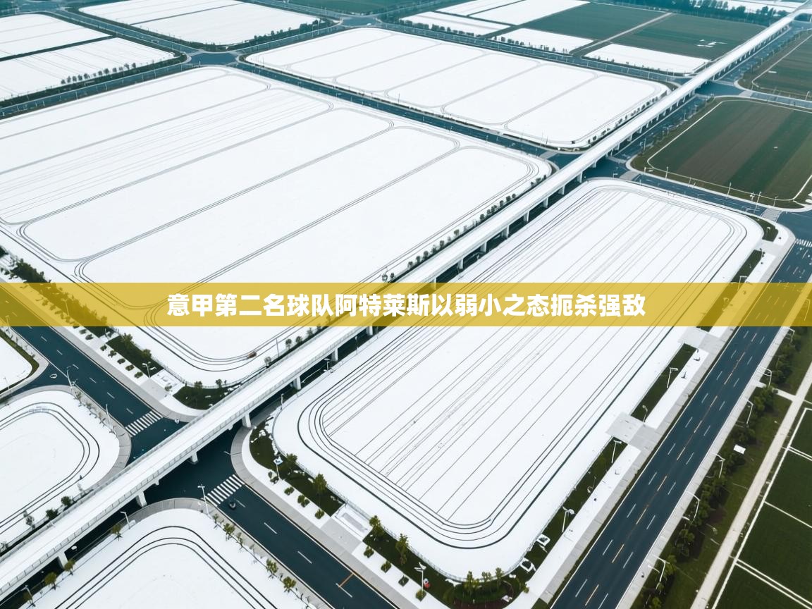 开云体育入口客服-意甲第二名球队阿特莱斯以弱小之态扼杀强敌  第3张