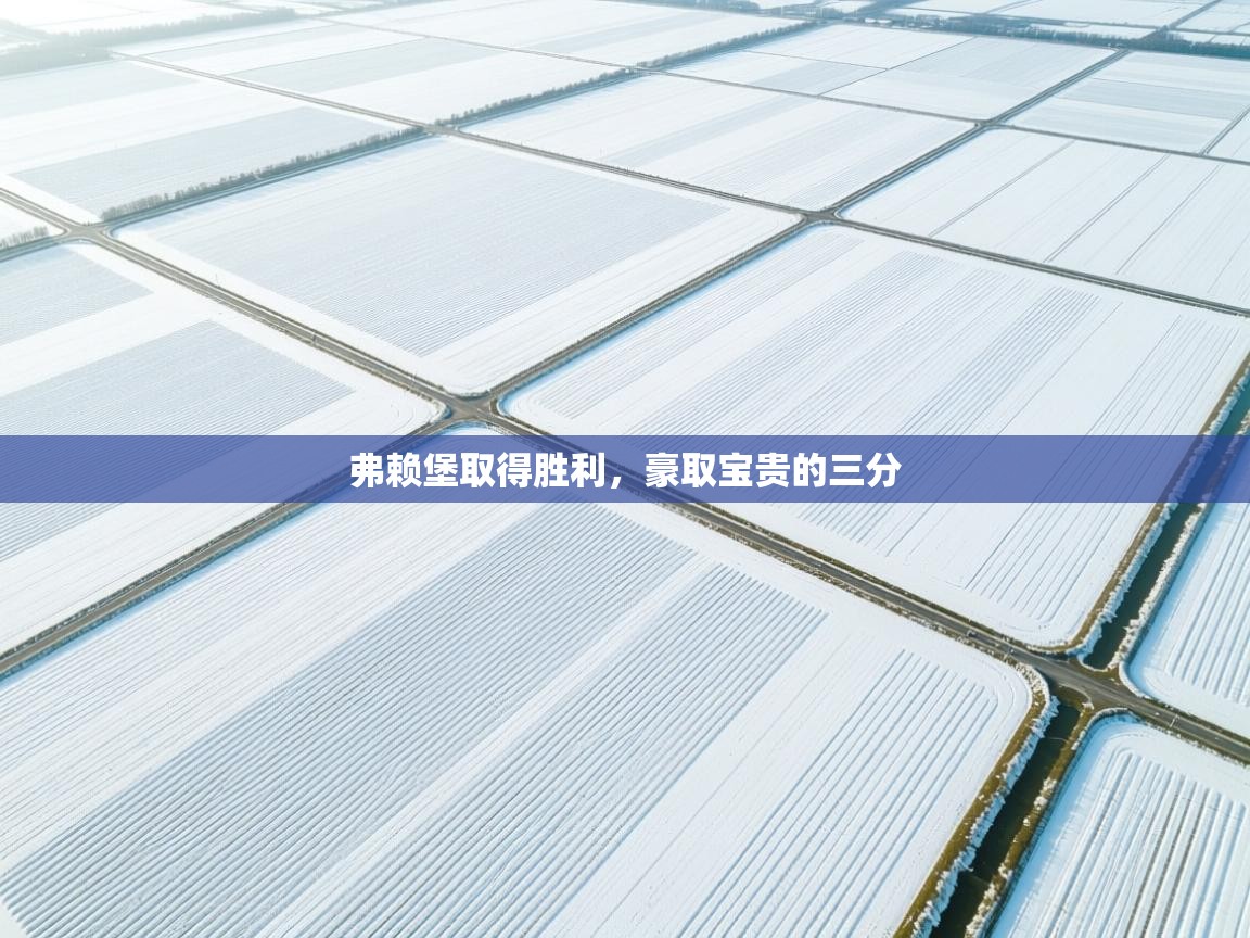 开云体育下载-弗赖堡取得胜利，豪取宝贵的三分