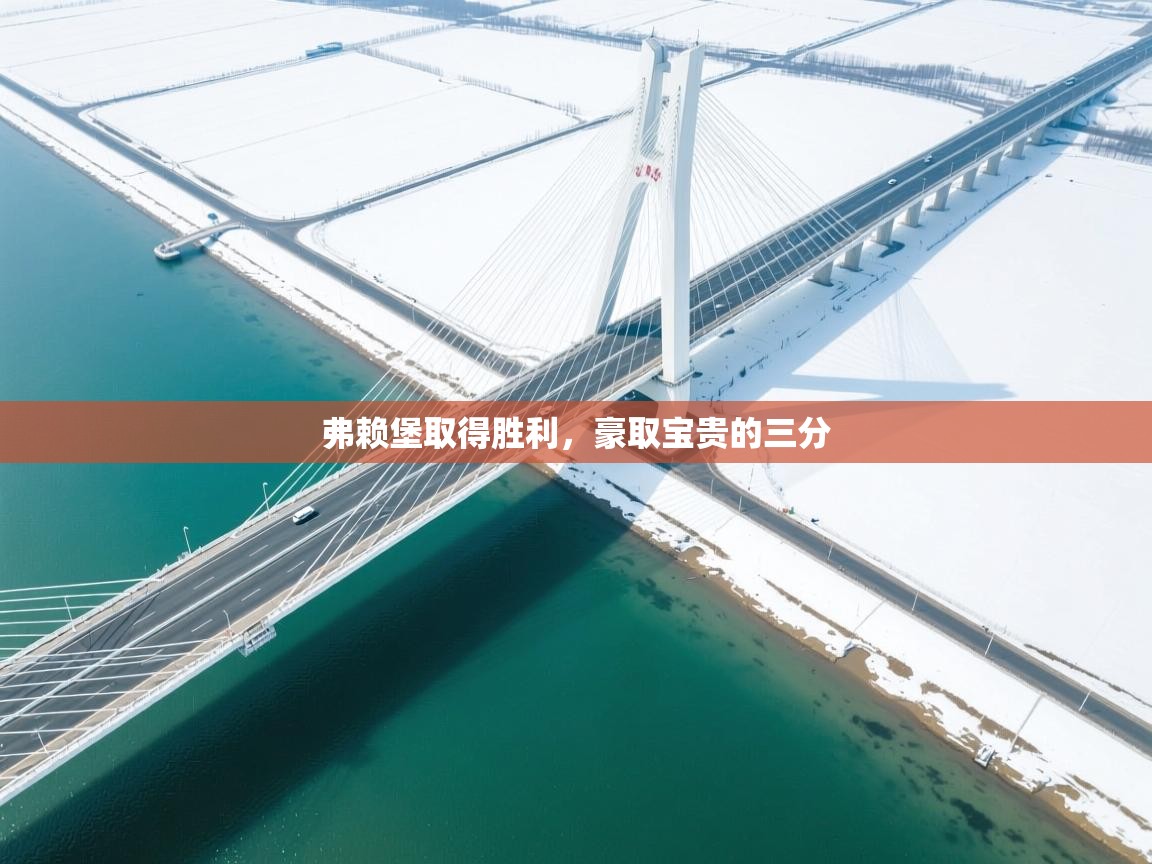 开云体育下载-弗赖堡取得胜利，豪取宝贵的三分  第4张