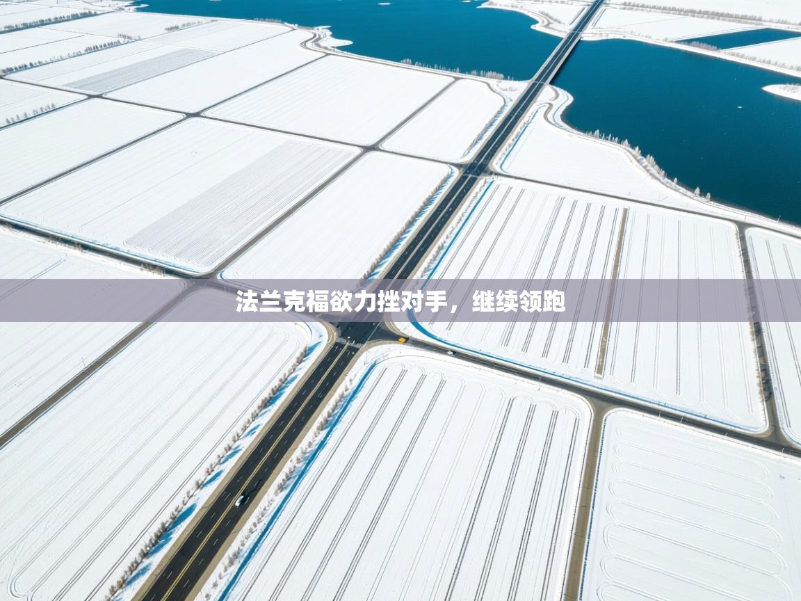 开运体育入口-法兰克福欲力挫对手，继续领跑  第3张