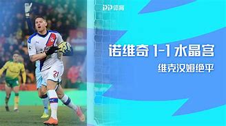 开云体育官网-关于诺威奇客场冻结不败，保级压力稍缓局面预示变数的信息