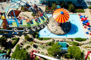 开云体育消息订阅关闭-爱沙尼亚选手在国际比赛中获得关键胜利 第3张